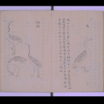 飲膳正要 2巻(巻2欠)（京都大学附属図書館所蔵）