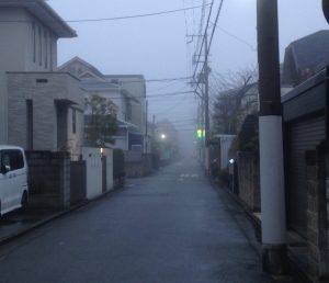 朝の風景。いつもは明るい日差しがありますが、濃い霧が漂っていてどんよりとしてました。