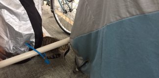 2週間に一度は会います