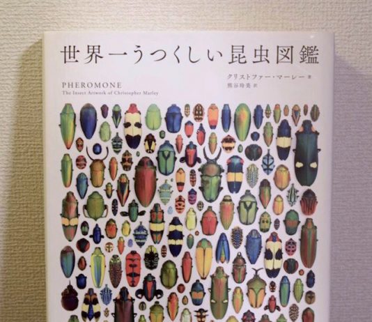 『世界一うつくしい昆虫図鑑』出版社：宝島社