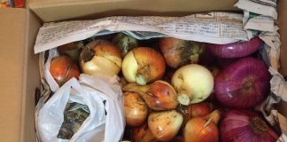 玉ねぎとレッドオニオンとそら豆