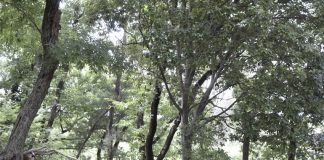 いい場所を見つけました。