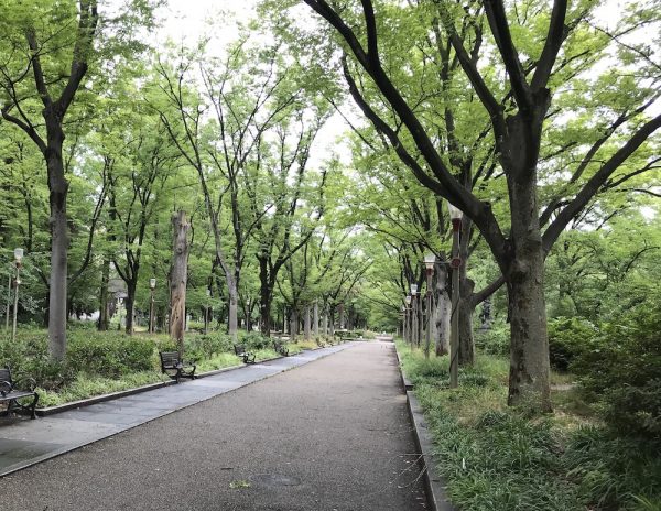 近所の公園にて