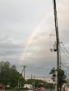 偶然、虹を見ることができました。