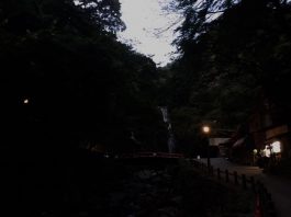 夕暮れ時の滝