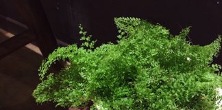 一夏でしっかり成長