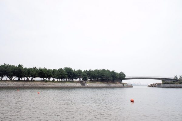 兵庫県立高砂海浜公園にて