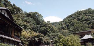 箕面公園散策路にて