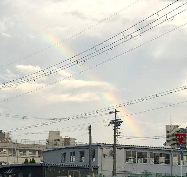 最近、虹を見かけることが多いです。