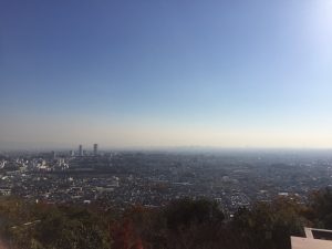 箕面の山の中腹から