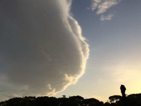 緑地公園の空　風の強い日でした