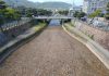 阪神芦屋駅から芦屋川を見たら川底は石畳でした