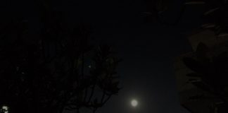 夏の散歩は夜が心地良い