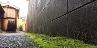 雨の止み間の小径にて　