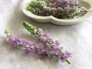 小さな紫蘇のお花