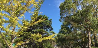 サイクリング日和だったんですよ