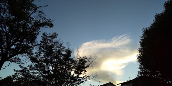 流れるような雲@近所の空