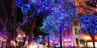 御堂筋イルミネーション