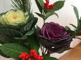 お正月に飾ったお花です