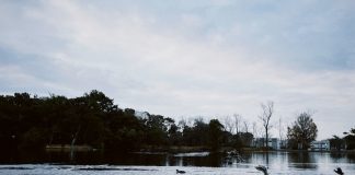 冬の緑地公園、山ヶ池