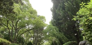 ジャリジャリ