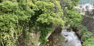 日差しを避けて木陰へ