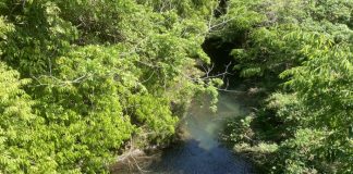 川　せせらぎ