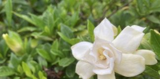 いつもの公園にて