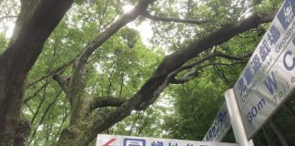 いなり山の周り