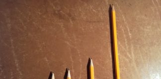 鉛筆の背比べみたいでかわいい