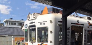 電車です二ャ〜