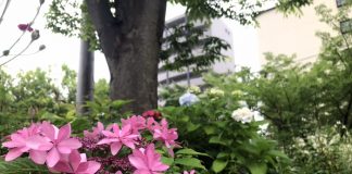 緑地公園前の広場