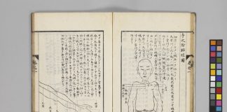 『経穴纂要 5巻』（京都大学附属図書館所蔵）