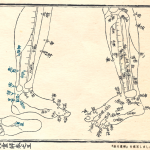 経穴彙解五巻_模写