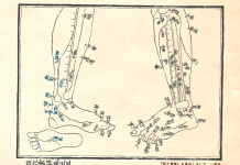 経穴彙解五巻_模写