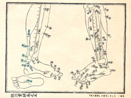 経穴彙解五巻_模写