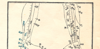 経穴彙解五巻_模写