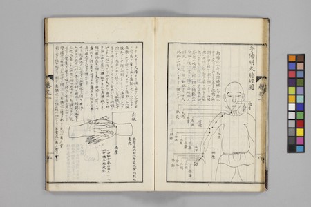 『経穴纂要 5巻』（京都大学附属図書館所蔵）