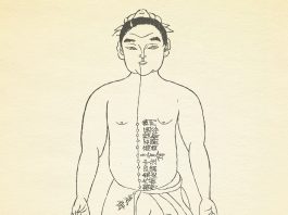 衝脈_十四経発揮