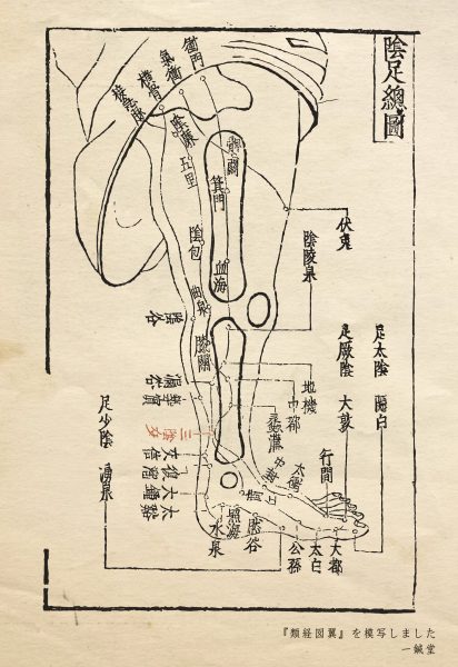 類経図翼を勉強しながら模写しました。