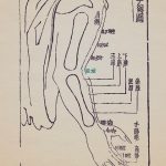 『類経図翼』手陽明大腸経 曲池