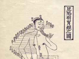 十四経発揮 足陽明胃経絡