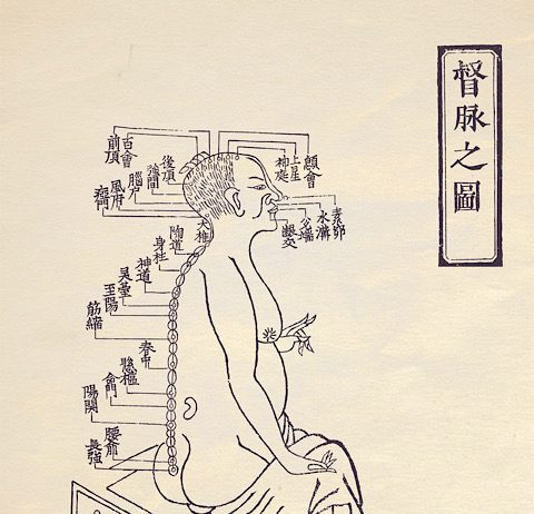 十四経発揮 督脈