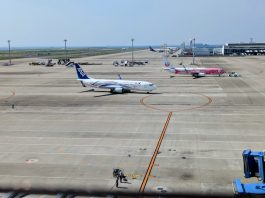 ミャクミャクとサメ