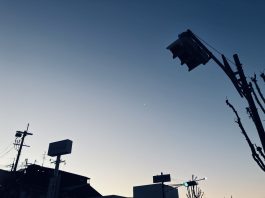 冬の朝　気温は一桁