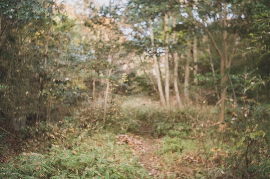 鍼灸師の育成について