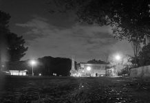 Hattori Well-being Park 冬の緑地公園