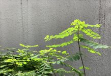身体の不思議 -気候・気圧・気温からの影響- その5