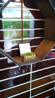 贈り物？忘れ物？