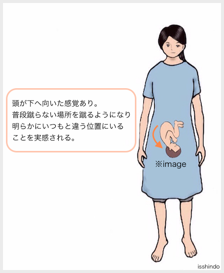 Sakago Case Htmlへの鍼灸治療